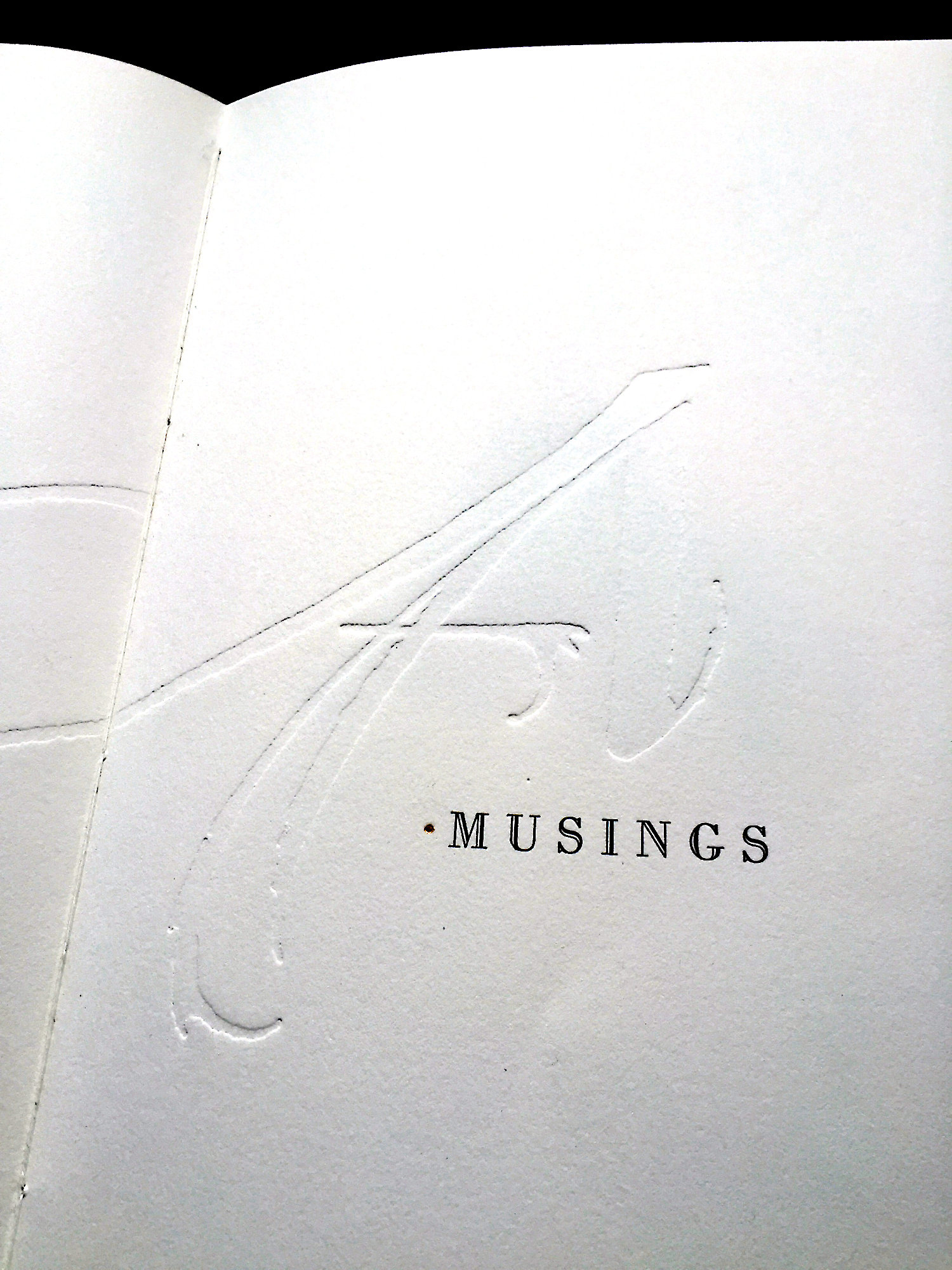 2.A.Musings.tpdet copy